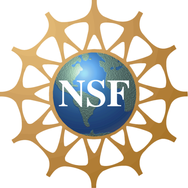 NSF_Logo